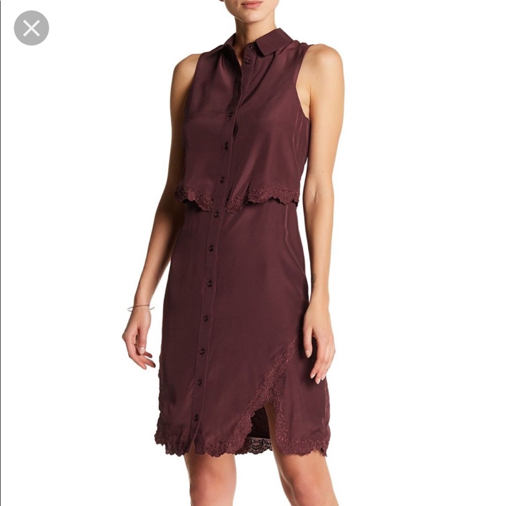 NWT Parker Overlay Shirtdress